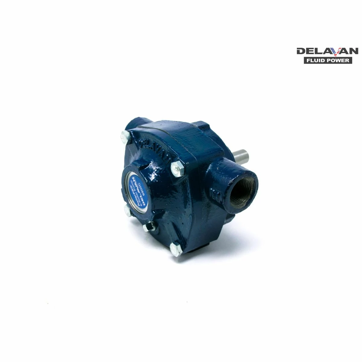 Deals 😍 Delavan Pump, Cast Iron, Roller Pro, 20 Gpm, 6 Roller, 6900C 🎁 2 Deals 😍 Delavan Pump, Cast Iron, Roller Pro, 20 Gpm, 6 Roller, 6900C 🎁 - Image 2