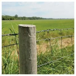 Best Pirce 😍 Hillman #9 5 LB Box Hot Dipped Galvanized Fence Staple, 461479, 1-3/4 IN 🌟 -Farm & Ranch Equipment Shop sftp a s assets20201209000001173