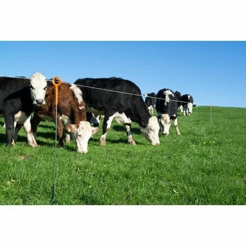 Buy ๐ฅฐ Gallagher Ring Top Post, G72315, 34 IN ๐ 2 Buy ๐ฅฐ Gallagher Ring Top Post, G72315, 34 IN ๐ - Image 2