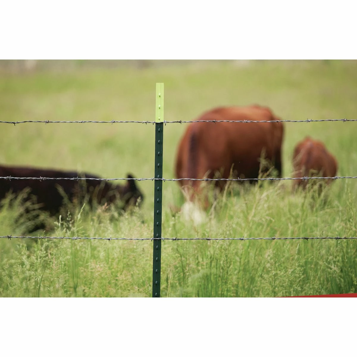 Hot Sale โจ Nucor Steel T-Post, Green / Lime, 5.5 FT, FPN133066GL ๐ 2 Hot Sale โจ Nucor Steel T-Post, Green / Lime, 5.5 FT, FPN133066GL ๐ - Image 2